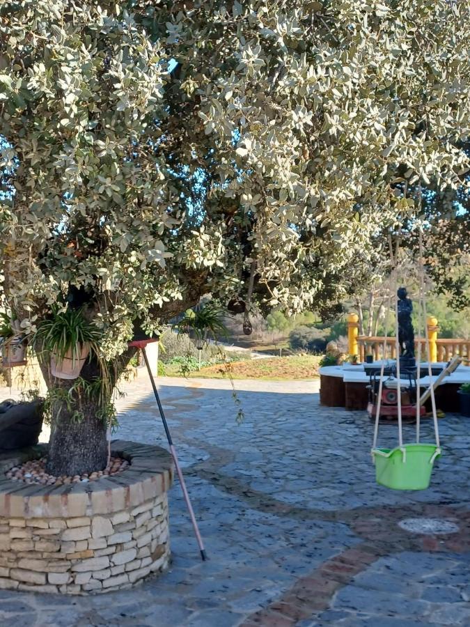 Villa Martinez Alquiler Rural Isabel Alcalá del Valle Εξωτερικό φωτογραφία